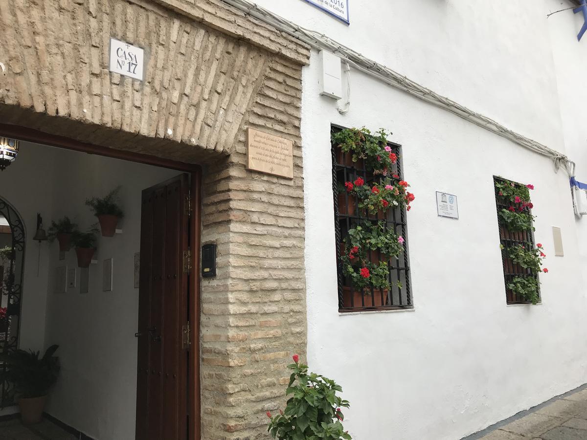 Casa Longa — Photos 3